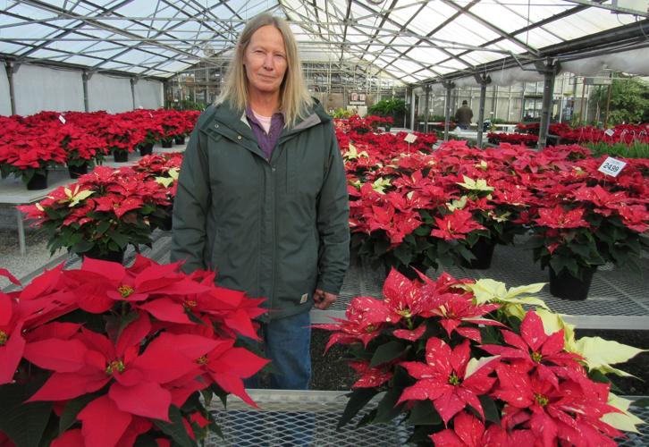 Indoor Farms Greenhouses