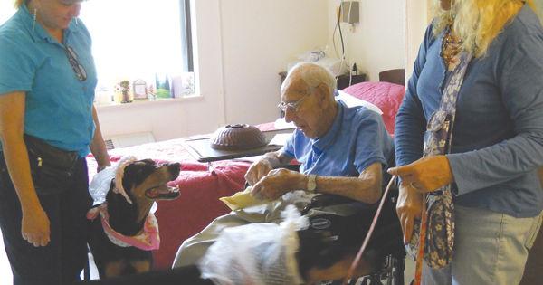 Therapy dogs make the rounds to cheer