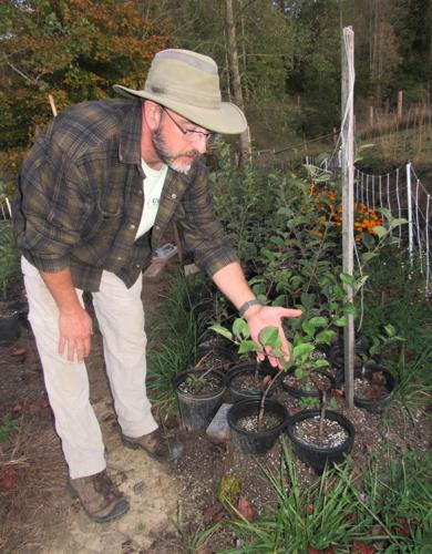 Tumbling Creek Cider Co.