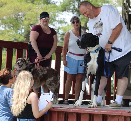 061026-smy-news-Woofstock-p1.JPG
