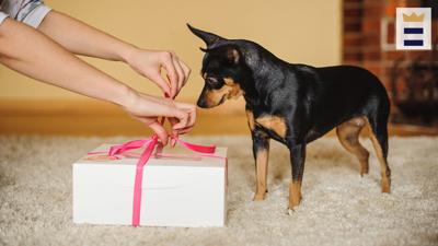 To treat your pooch and fellow dog lovers, personalize gifts to make them unique and more meaningful.