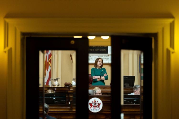 Lt. Gov. Ghazala Hashmi