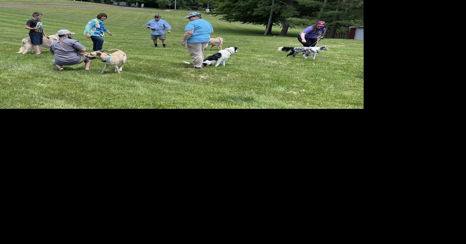 Dog Show this weekend