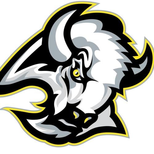 Buffalo logo