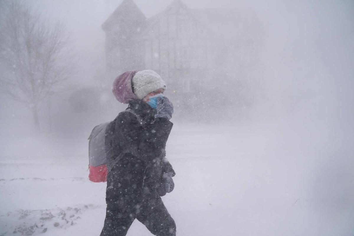 Buffalo Blizzard (copy)