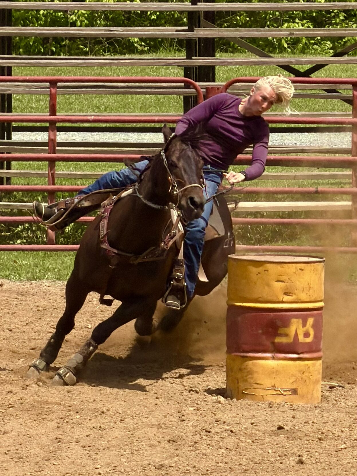 050926-smy-news-FFAHorseShow-p2.JPEG