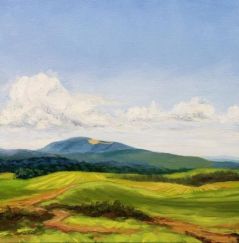 Whitetop by Steven Reeves