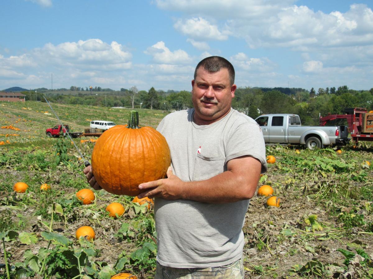 Pumpkins Prove Good Investment For Local Farmer News Swvatoday Com