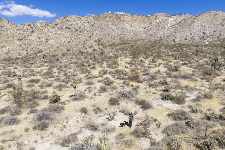 US-NEWS-ENV-CALIF-POOP-HUNTING-DOGS-FILEPIC-4-LA
