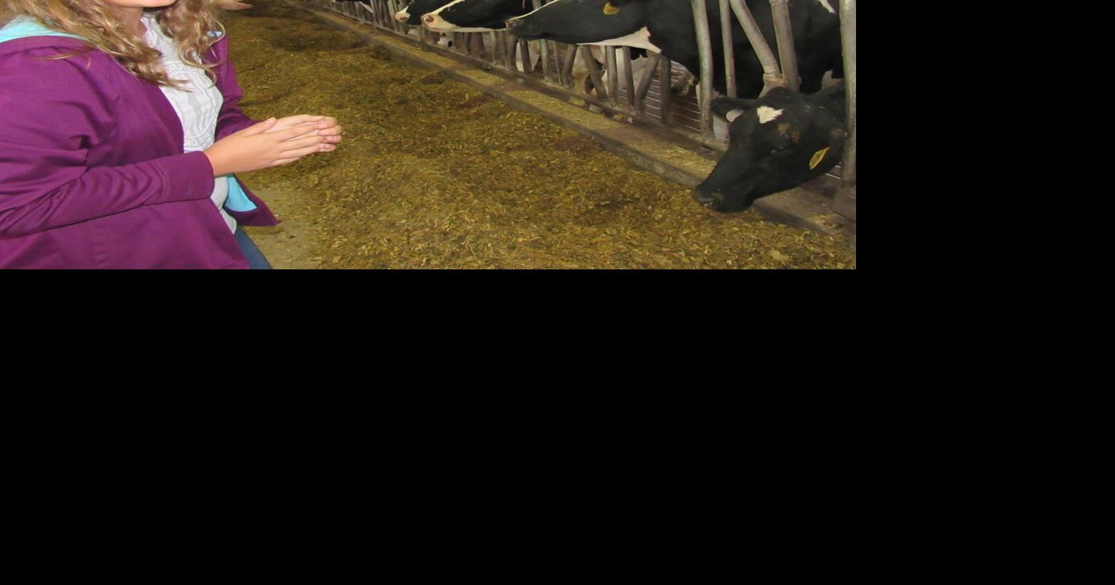 Conservation lessons go outdoors for dairy farm field trip