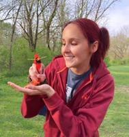 Hungry Mother's Billings is ready to help people learn about 'tiny T. Rexes'