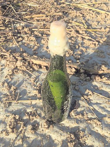 Message in a bottle
