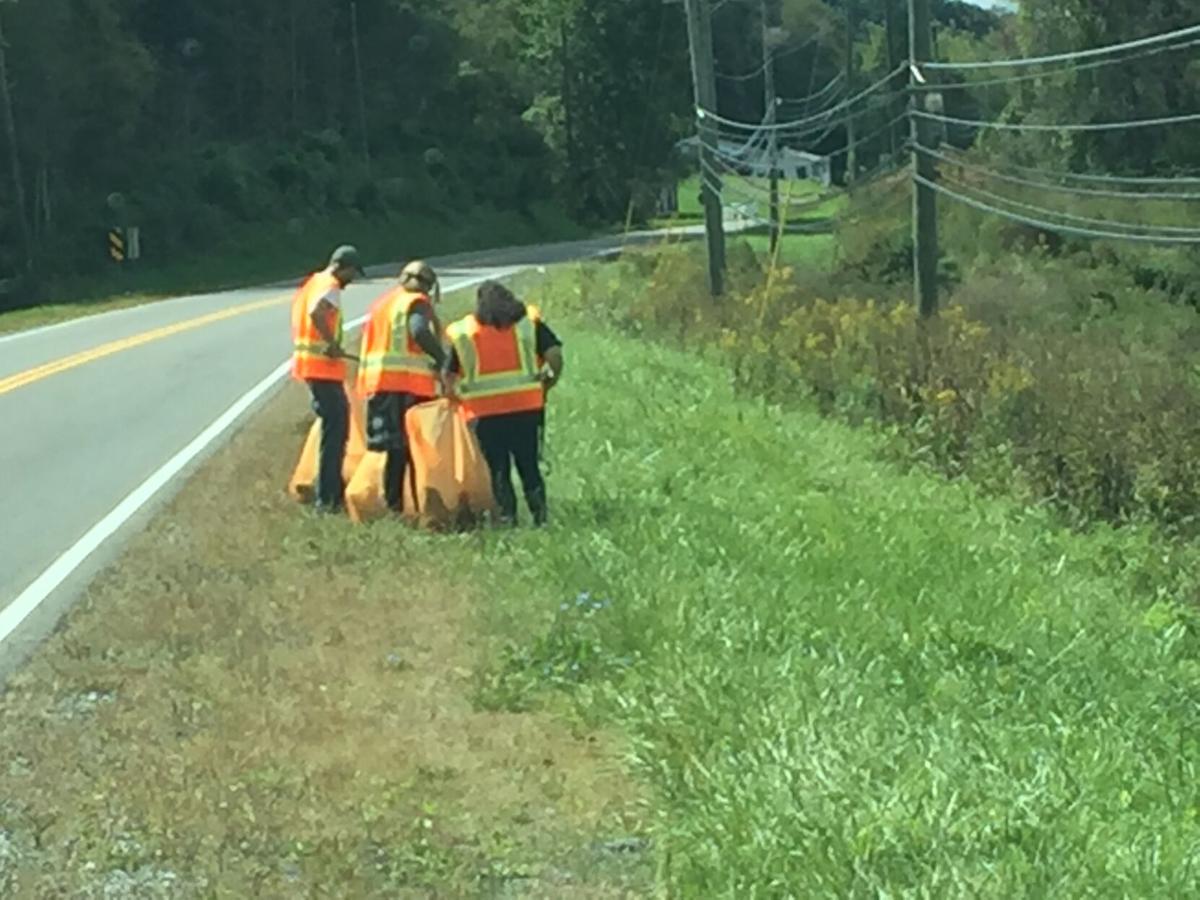 Litter pickup volunteers