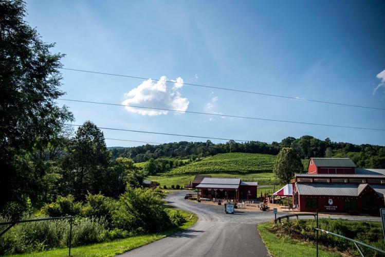 Valley Road Vineyards