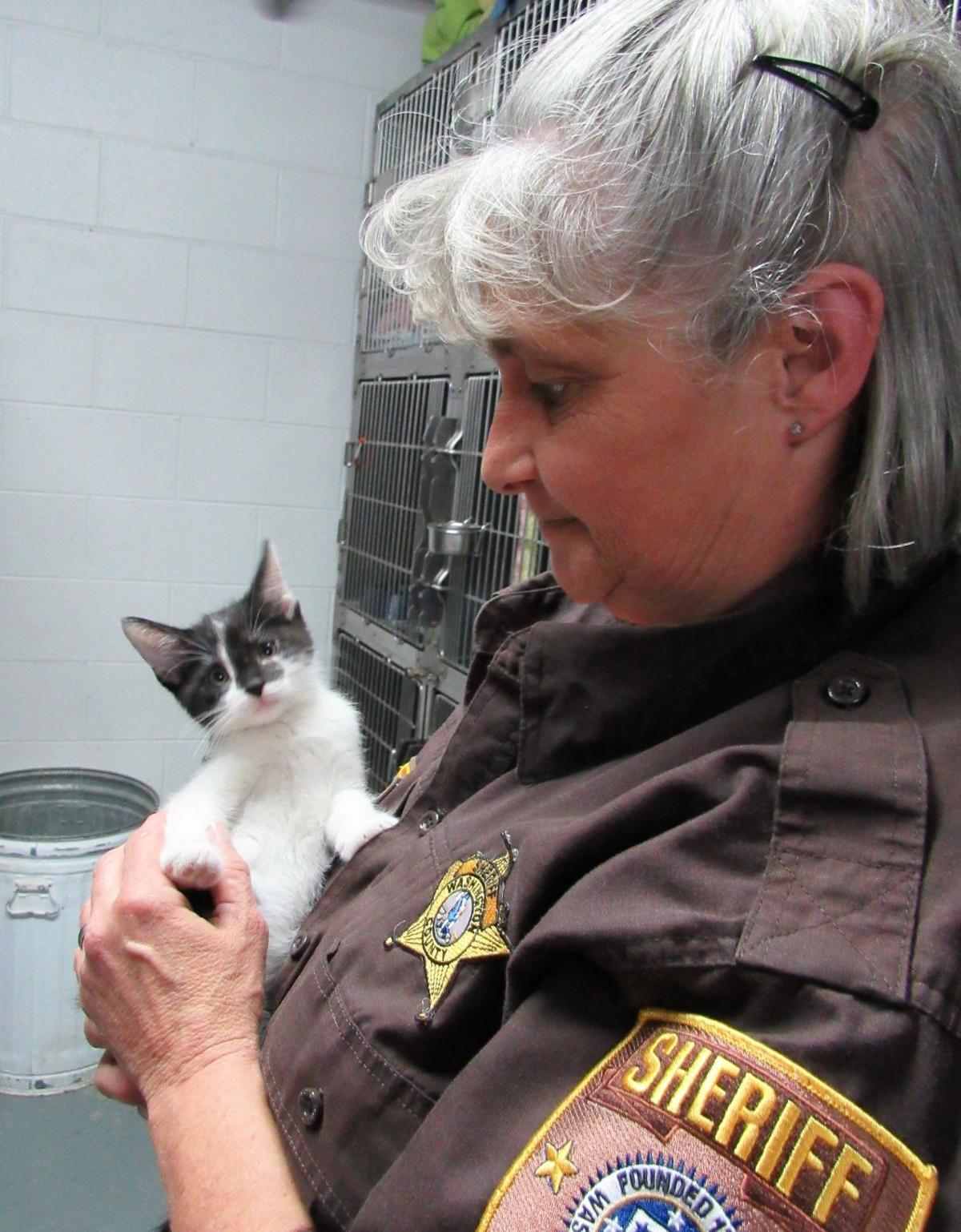 C C Porter Animal Shelter Seeking Homes Volunteers To Help More