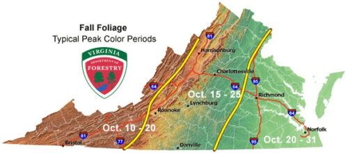 100326-smy-news-FallFoliage-p1.jpg