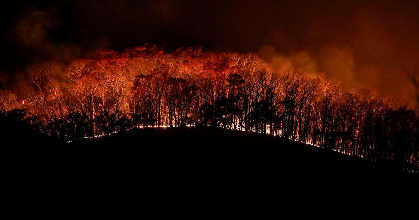 Matts Creek fire near Big Island surpasses 10,000 acres - Vimarsana News