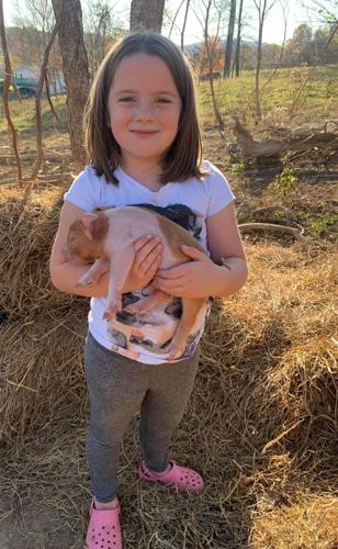 Worsham Spring Farm 3