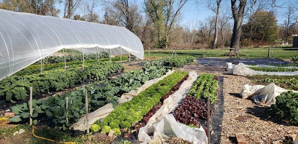 Creative Seeds Farm