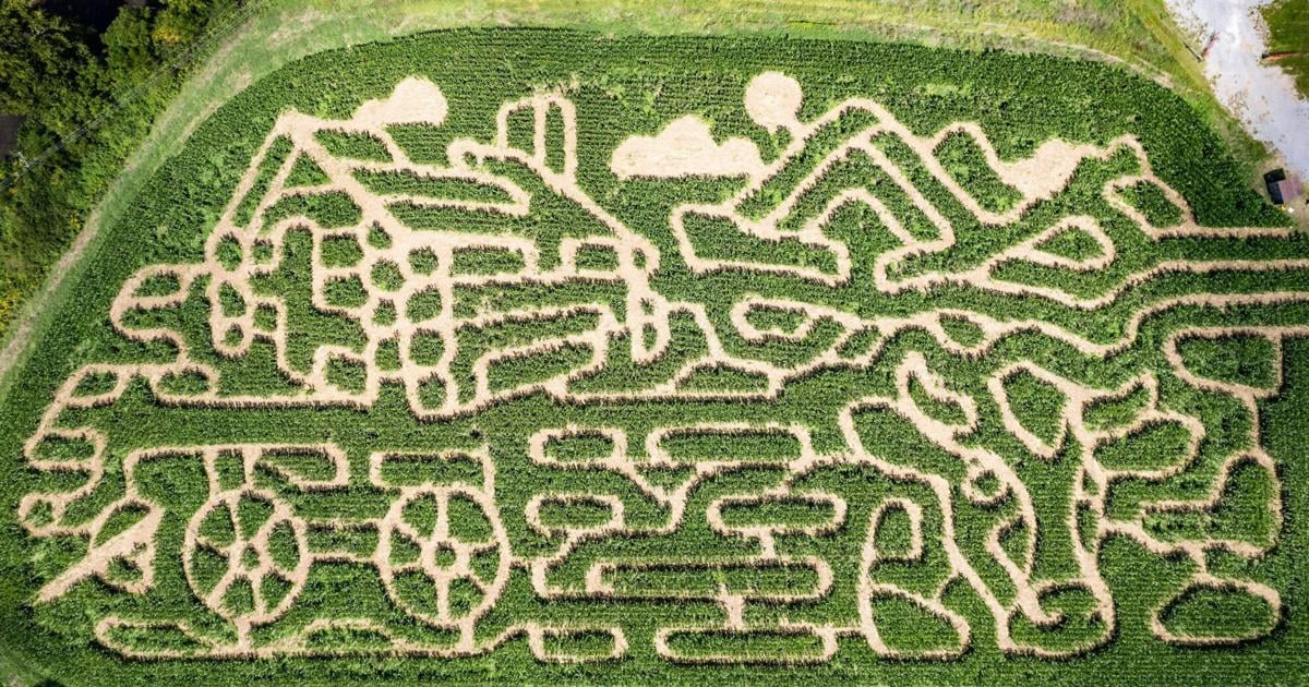 Corn maze opens Sept. 13