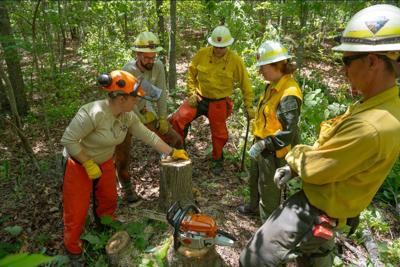 Wildland Fire Academy