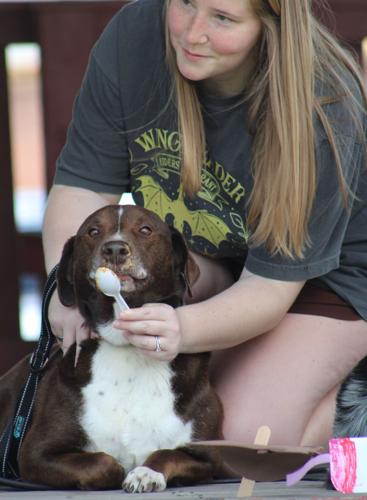 061026-smy-news-Woofstock-p3.JPG