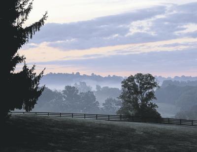 Floyd Green Burial Project