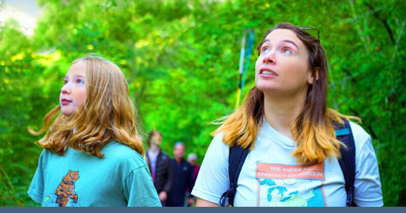 Marion's Lincoln Theatre to screen 'Clear Day Thunder: Rescuing the American Chestnut' - Vimarsana News