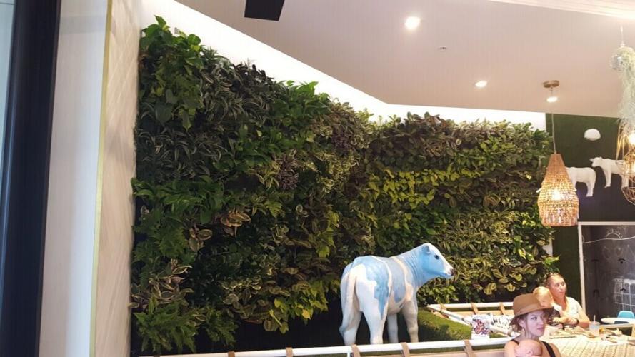 Mendocino Del Mar (4).JPG