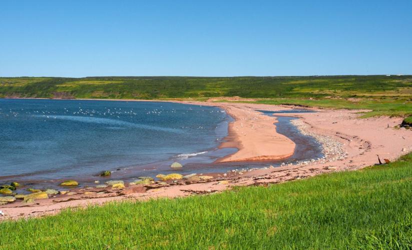 In Labrador, head to the pink beaches of Forteau and L'Anse-Amour.