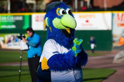 The York Revolution play in the independent Atlantic League, and are located in south central Pennsylvania.