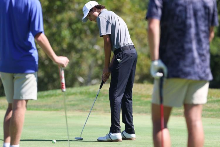 1D Golf at Holston Hills