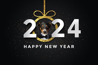 Barking in the New Year: Pet Parents' Pawsome Resolutions  - Image