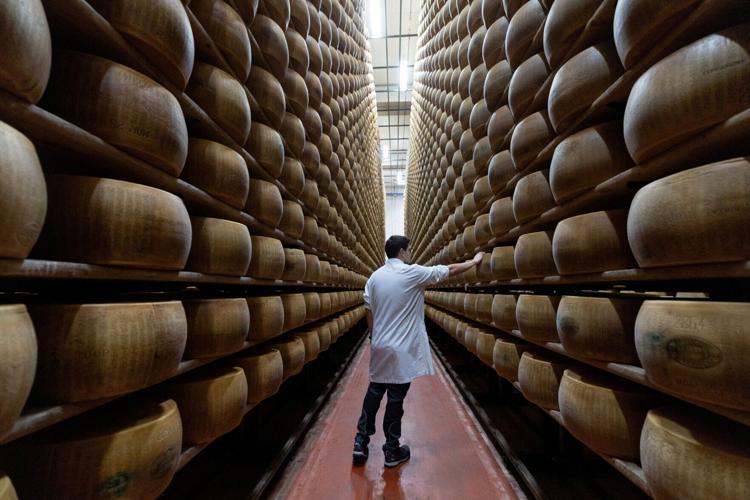 Extreme heat threatens Italy's Parmesan heartland