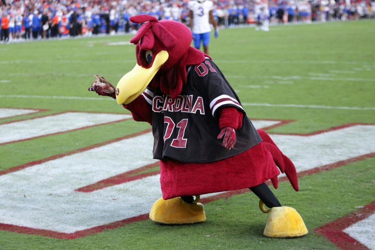 Tradition Glimpse Mascots Football South Carolina