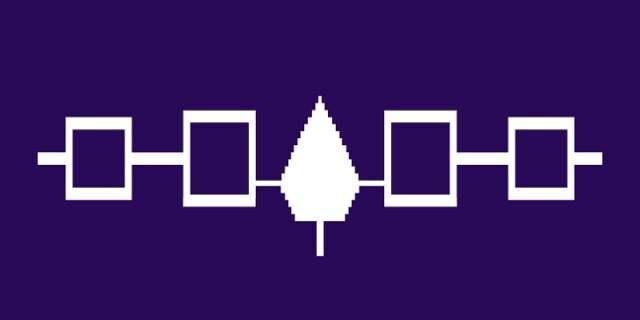 flag3
