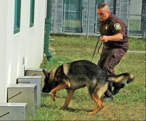052026-smy-news-main-PaschalDogPark-p6.jpg
