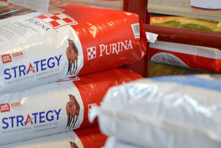 Russell County Co-op 07