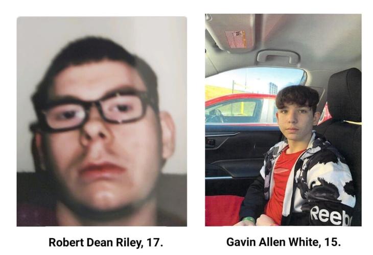 Robert Riley & Gavin White-- Web