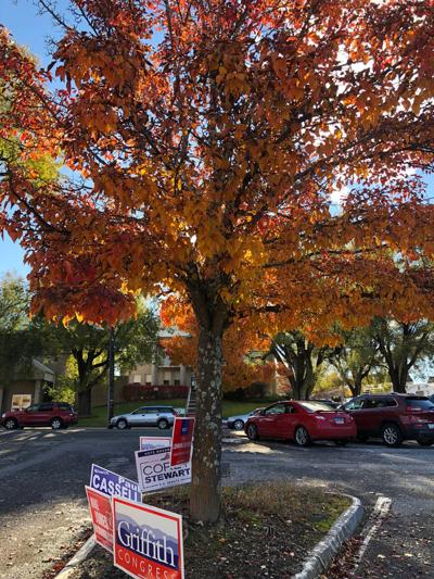 Wythe election