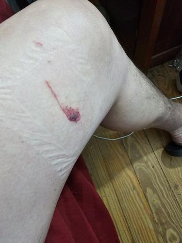 Francisco Cornejo-Navarette