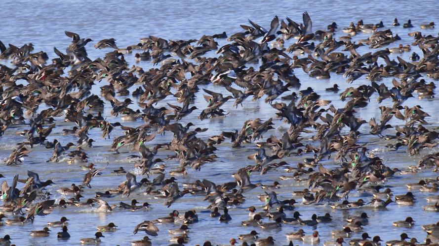 Saving The Great Salt Lake