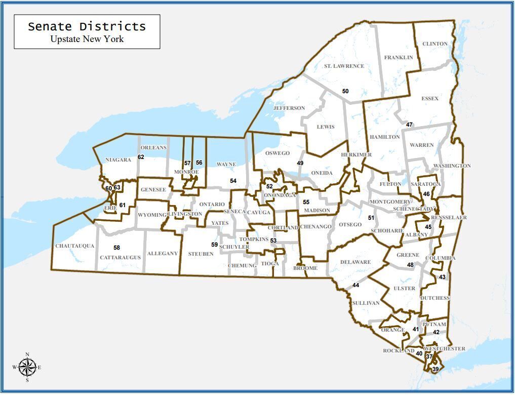 NY Senate Map