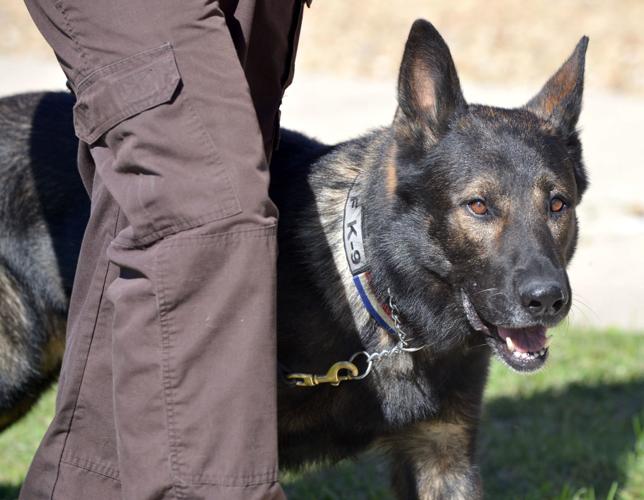 K-9 Unit