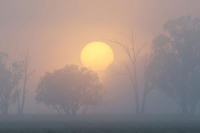IRAN-CRISIS/AUSTRALIA-WHEAT