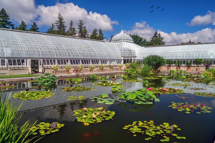 ogintz-garden-20220428