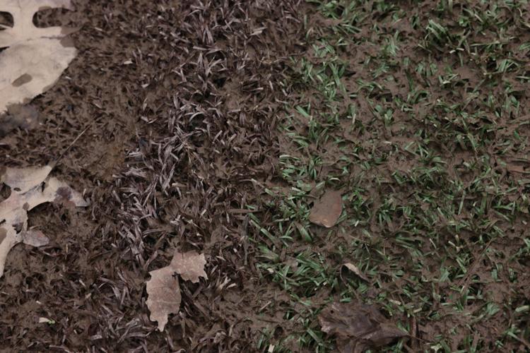 Artificialturf