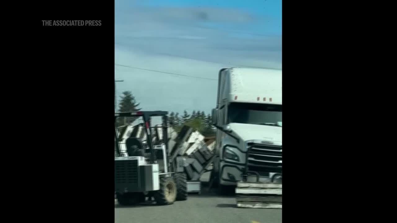 Millions of honeybees abuzz after truck overturns in Washington state