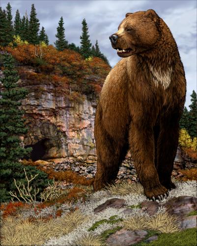 SMY 0607 saltville dig illustration.jpg