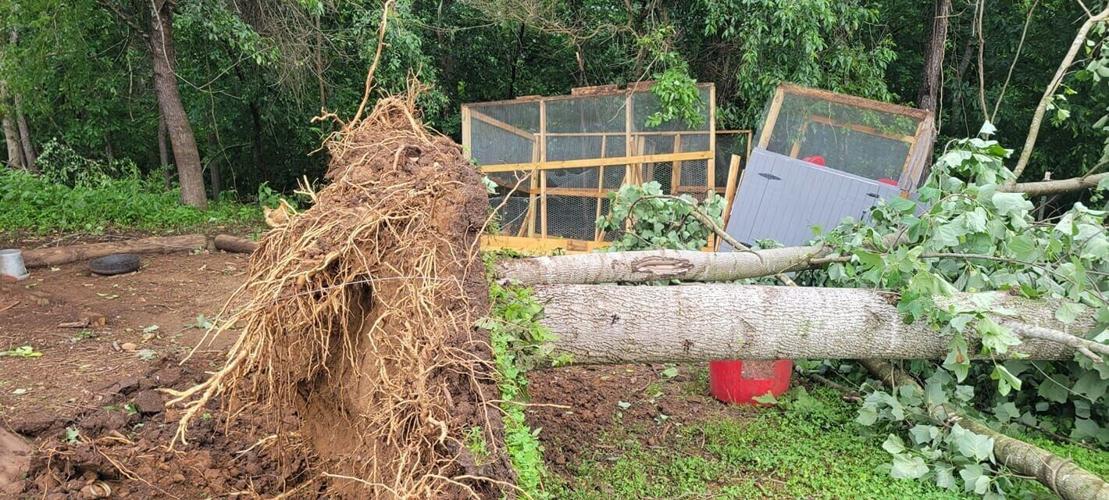 Drogheda Mountain Rd tornado damage